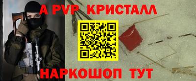 ECSTASY Кингисепп