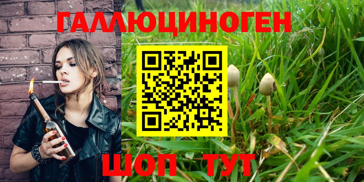 Псилоцибиновые грибы прущие грибы Балтийск
